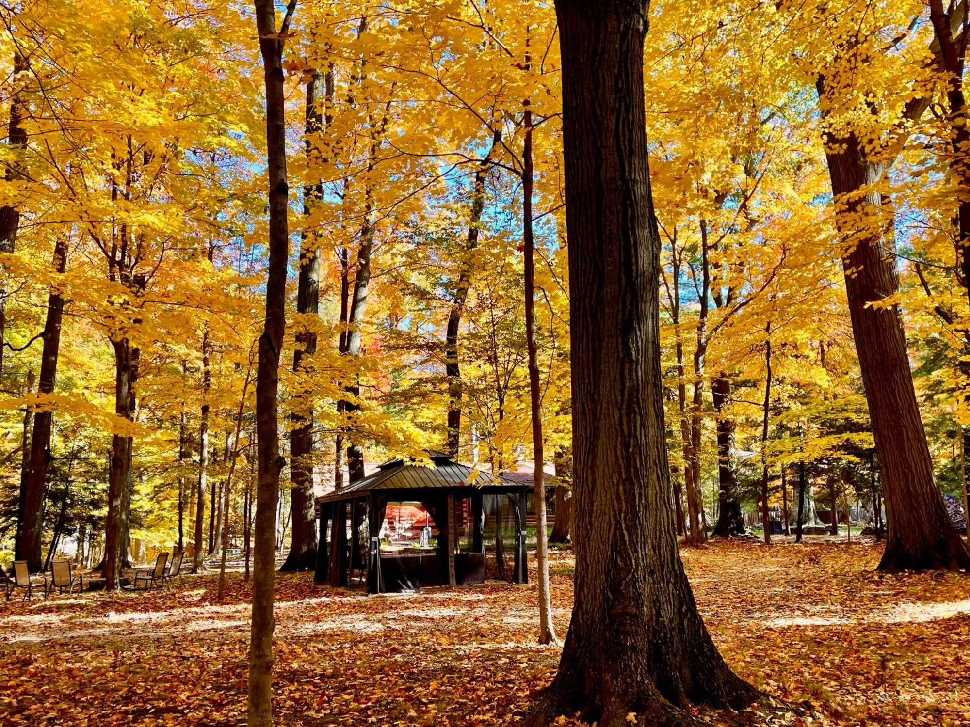 Log Cabin - Natures Oasis - Fire Pit & Gazebo Cleveland Exterior foto